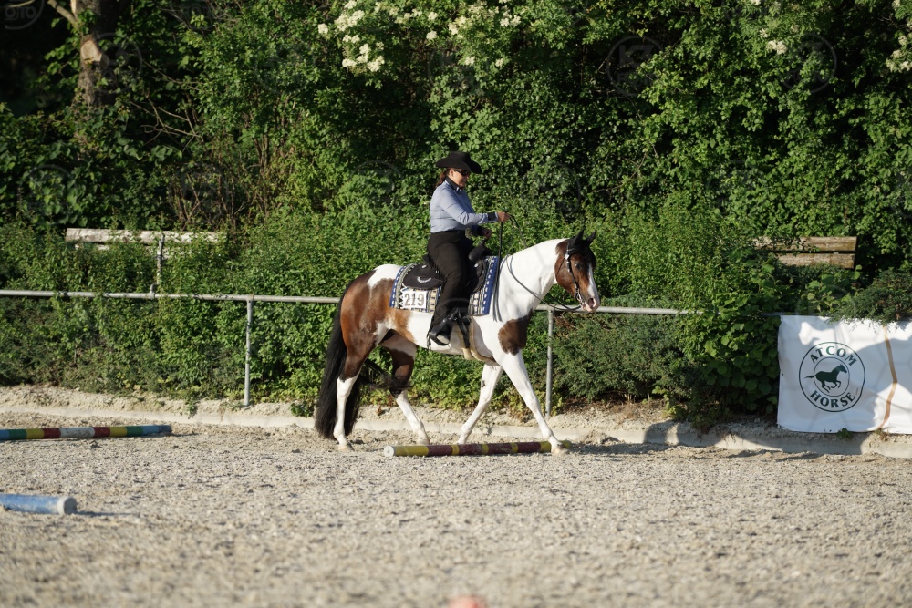 s_APF07274.jpg